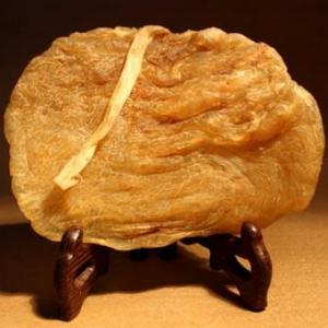 鱼胶爱好者 头像