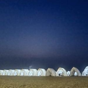 胖胖的二向箔 头像