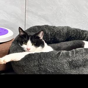 自在的每日知多少 头像