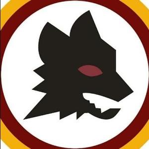 足球篮球一锅烩 头像