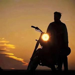 低调是种错 头像