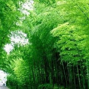 申姐聊事 头像