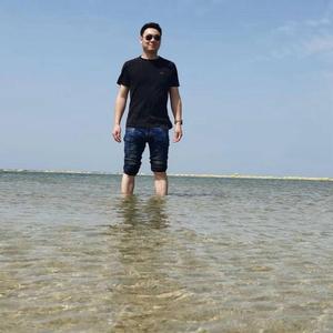 自由心科技程大大 头像