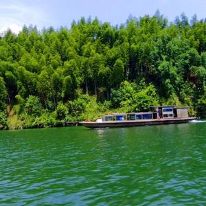 中外说事人 头像