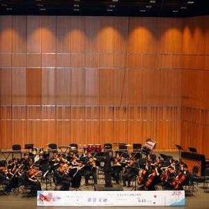 自若春风W 头像