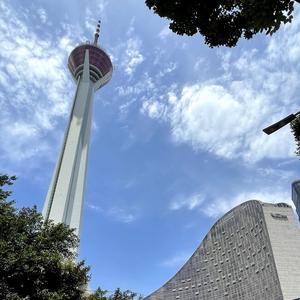 首席体验官VLOG 头像