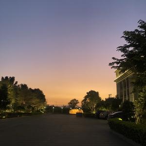 种地吧土豆 头像