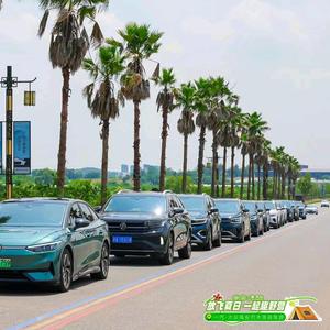 高安大众燕子3x8b 头像