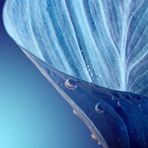 清净好物分享 头像