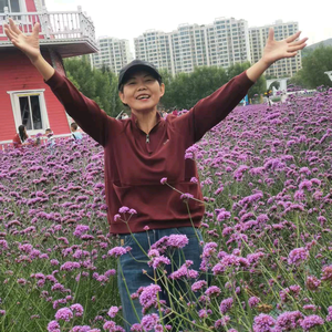 芬姐要改变 头像