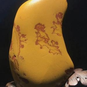 阳光恋春