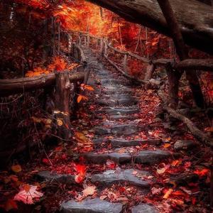 爱吃水果的丁老师 头像