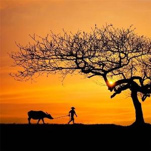 用影视记录生活的精彩 头像