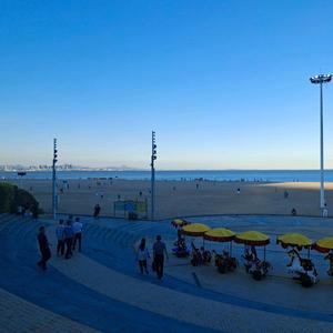 不凡的言多必失 头像