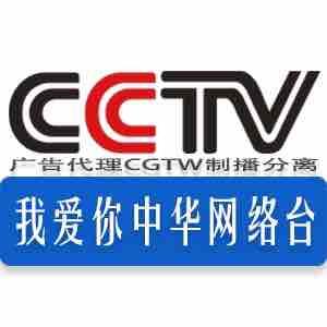 CCTV我爱你中华头像