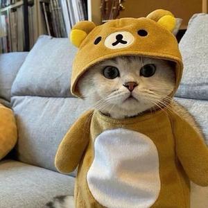 鬼壮（战神/上分/晋级赛） 头像