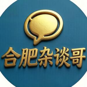 合肥杂谈哥 头像
