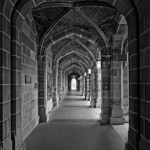 包子和馄饨的旅行 头像