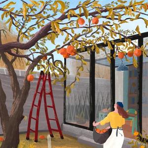 家中有棵柿子树 头像