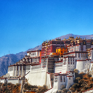 消防设施操作员逢考必过 头像