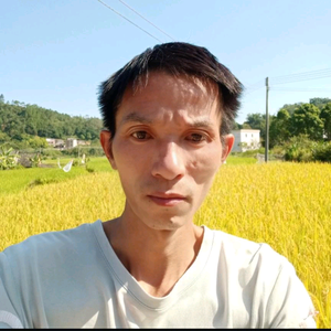 瘦仔逆袭记 头像