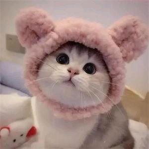 此籹子、小拽 头像