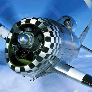 行者大飞（屠夫之鸟） 头像