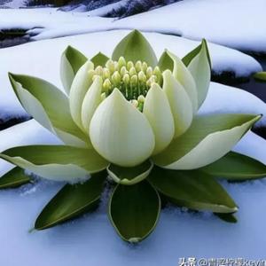 沧州孟村回族自治县委书记张国辉，履新职 - 今日头条