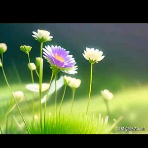 老太看世界 头像