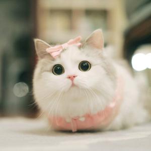 用户4537128287 头像