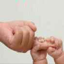 泌尿外科张医师 头像