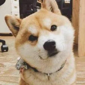 渴望自由的根号三 头像