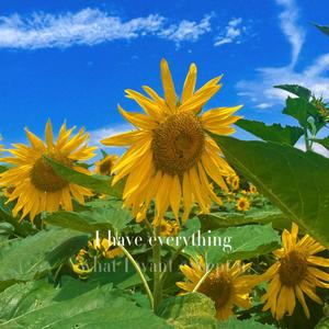 看世界换角度 头像