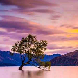 来自大墩村的乾坤 头像