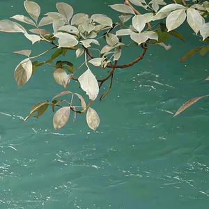 幸运星辰leha 头像