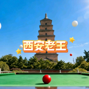 西安老王说台球 头像