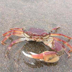 自说自话的学渣 头像