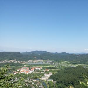 暖暖森木 头像