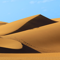 快乐亚历克西斯1R4头像