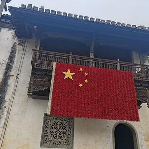 从容穿行的飞鸟 头像