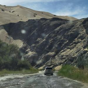 我要买陆巡 头像