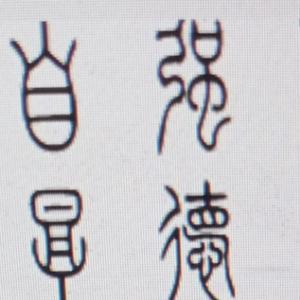 迷山岚