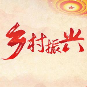 小芳说事8