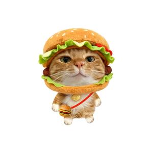 look今天吃点啥 头像