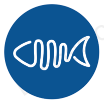 科技鱼很酷 头像