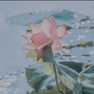 法外狂徒陈二 头像