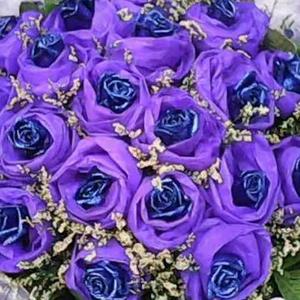 小树子5W1i 头像