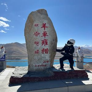 不务正耶的小龙 头像