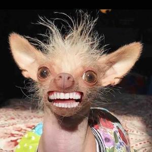 正能量开心每一天 头像