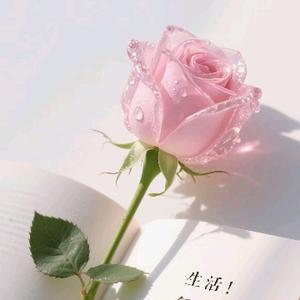 jolly爱分享 头像